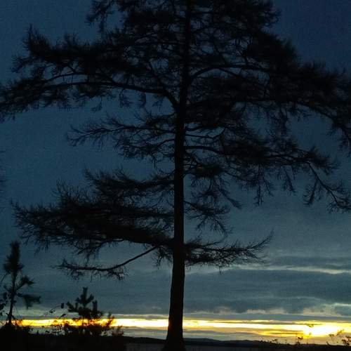 Photo #12178214