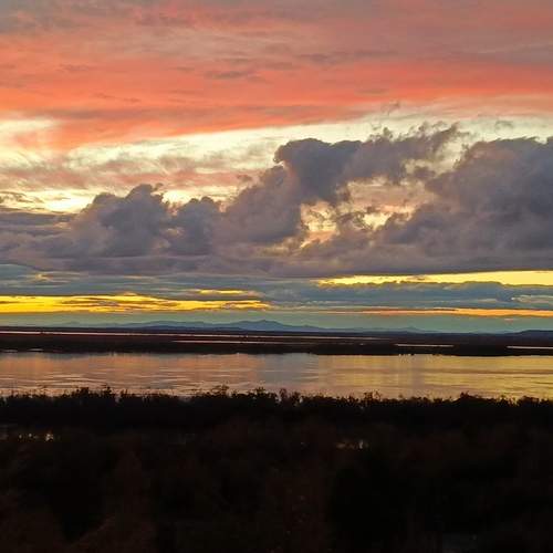 Photo #12178215
