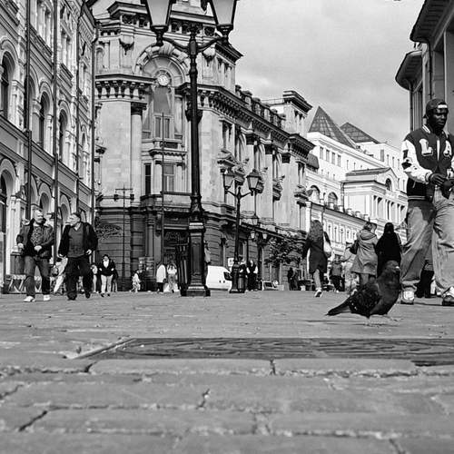 Photo #12179001