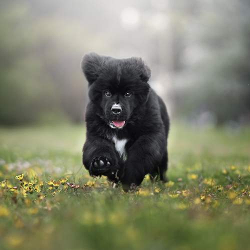 Фотография #12179089