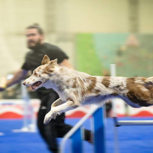 Photo #12179258