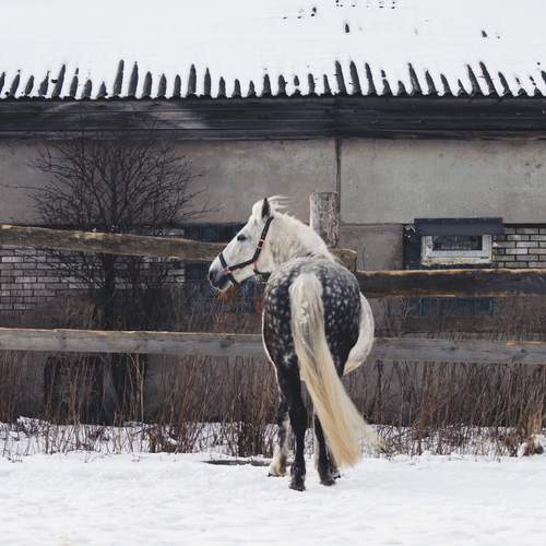 Photo #12179549