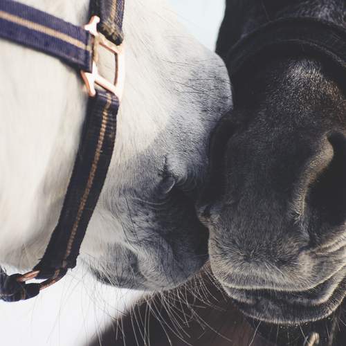 Photo #12179550