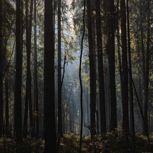 Photo #12179581