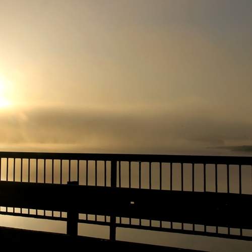 Photo #12179855
