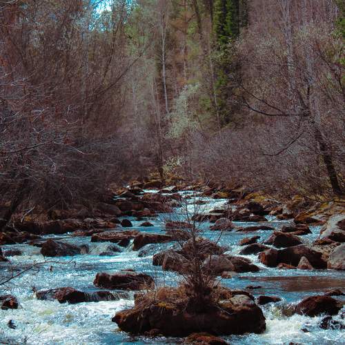 Photo #12180051