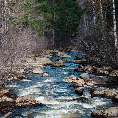 Photo #12180052