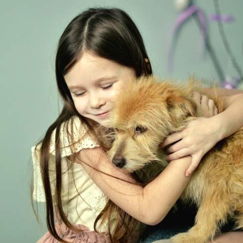 Photo #12180392
