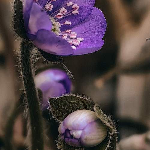 Photo #12180401