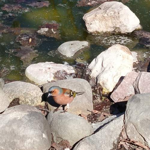 Photo #12180559