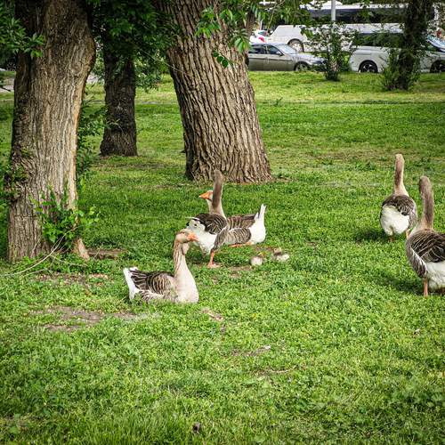Photo #12180669