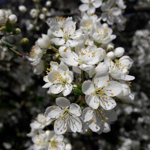 Photo #12180747