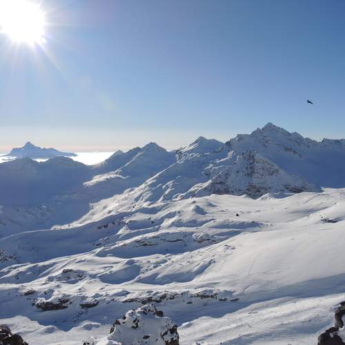 Photo #12181039