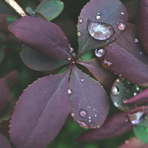 Photo #12182405