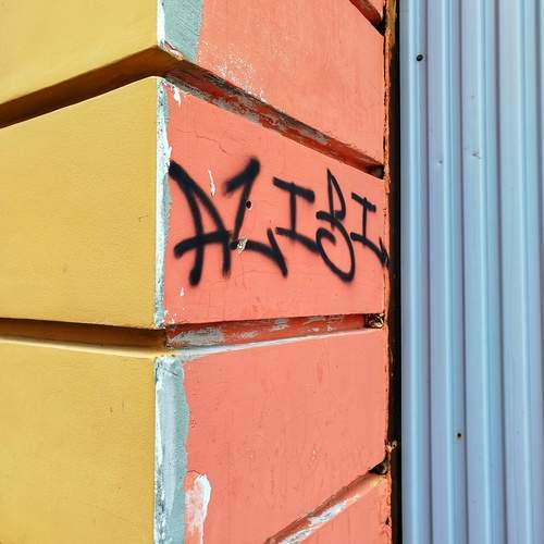 Photo #12182640