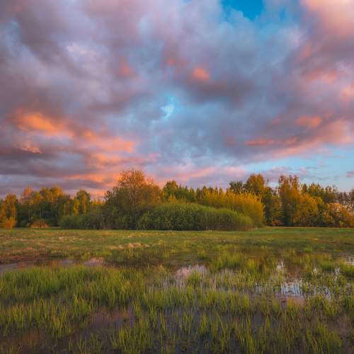 Photo #12182744