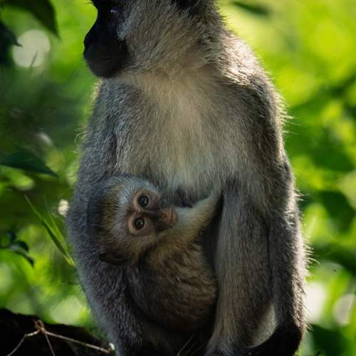 Photo #12182933