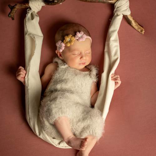 Photo #12183562