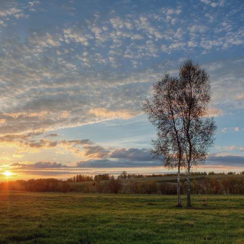 Фотография #12183565