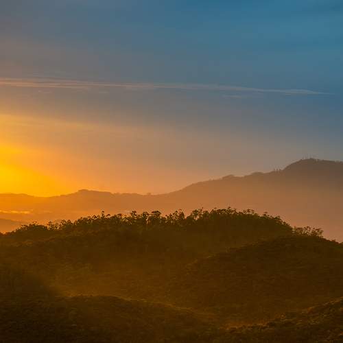 Whispers of golden dawn