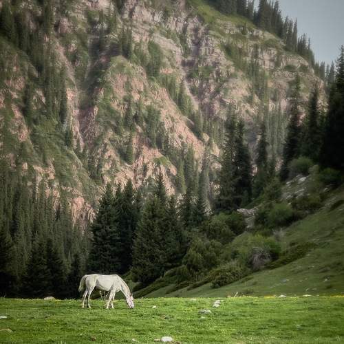 Фотография #12183683