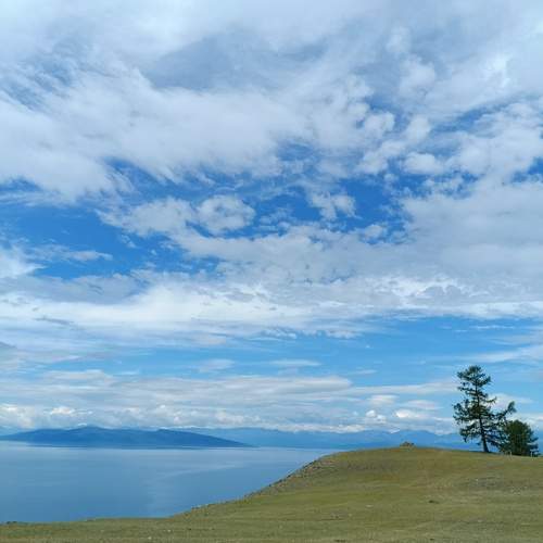 Photo #12183852