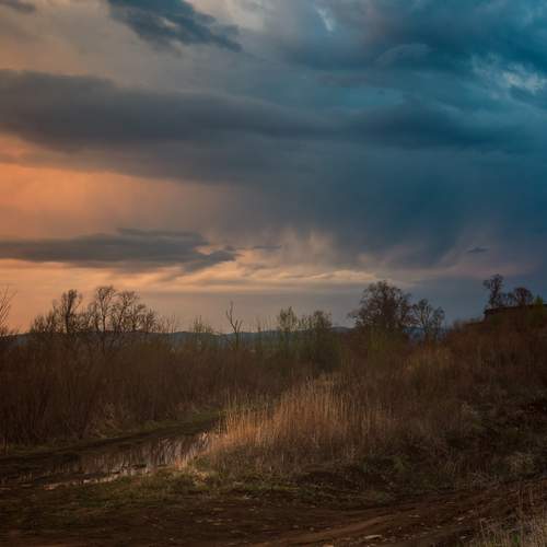 Photo #12184197