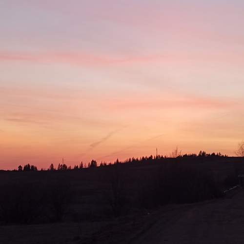 Photo #12184381