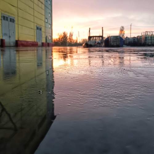 Photo #12184675