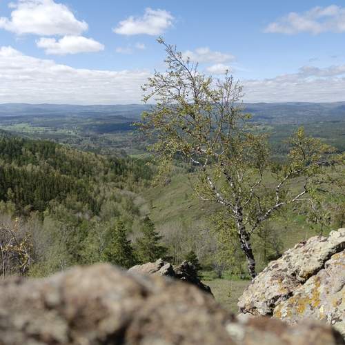 Photo #12184694