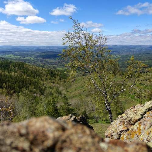 Photo #12184698