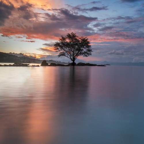 Фотография #12184923