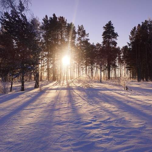 Photo #12185085