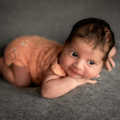 Photo #12185310