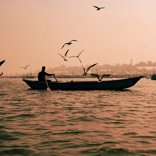 Photo #12185377