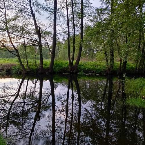 Photo #12185408
