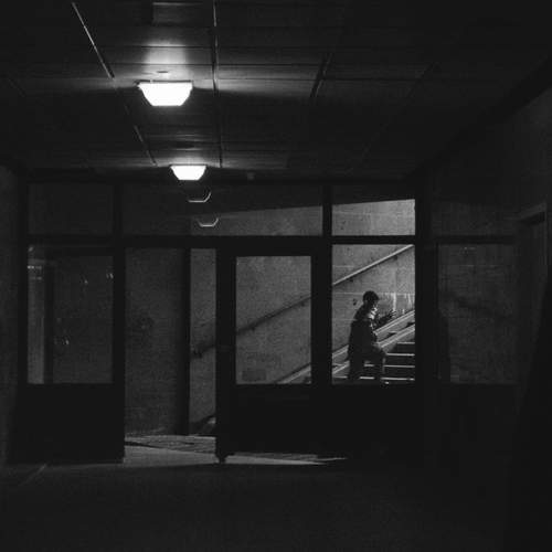Photo #12185960