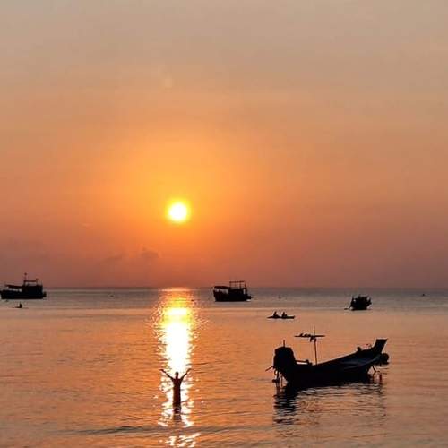 Photo #12186069