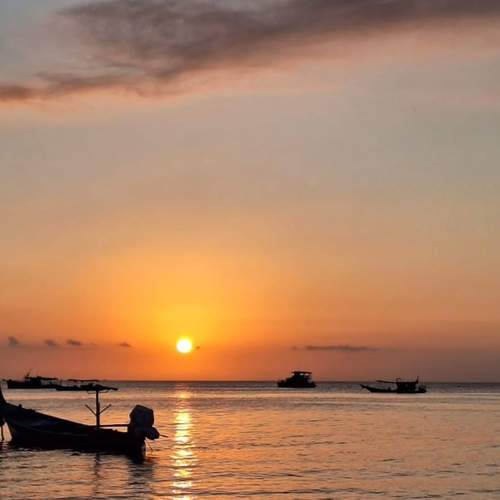 Photo #12186071