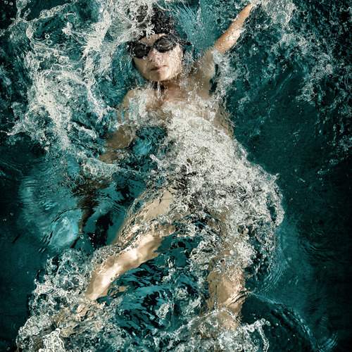 Photo #12186544