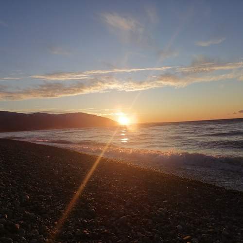 Photo #12187705