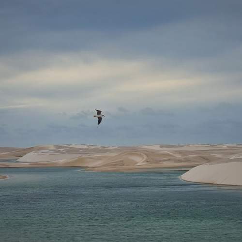Photo #12188009