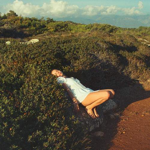 Photo #12188771