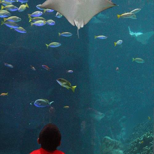 Photo #12188836