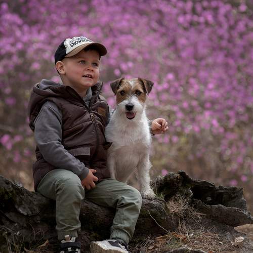 Photo #12189010
