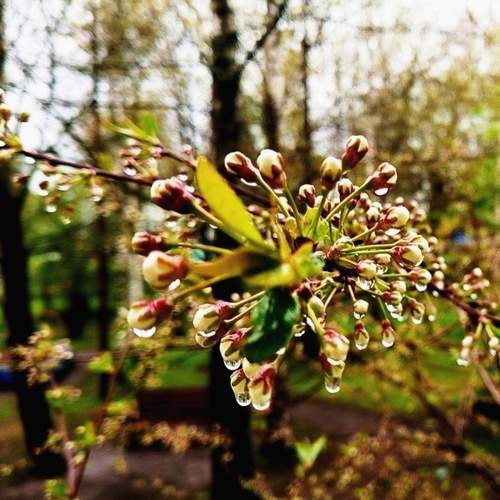 Photo #12189338