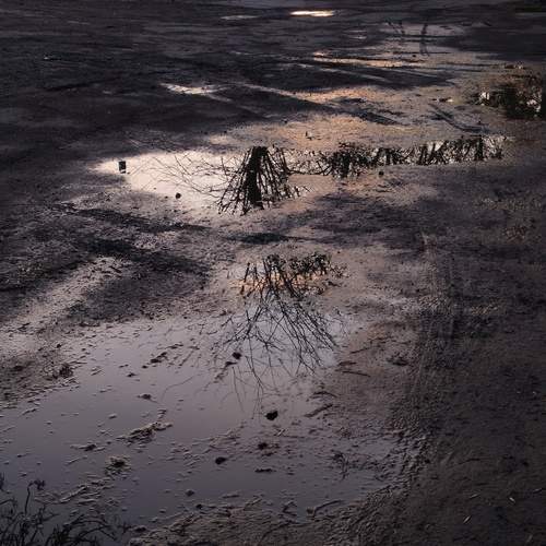 Photo #12189560