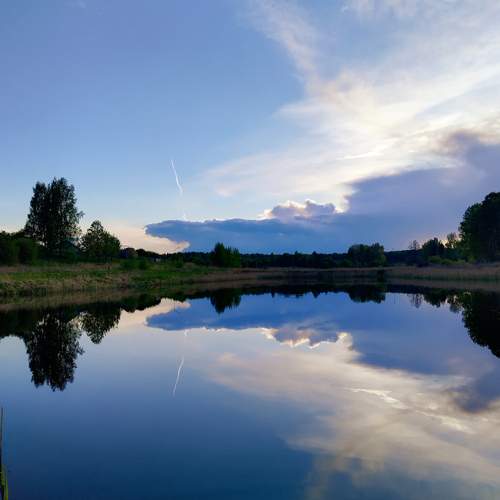 Photo #12189724