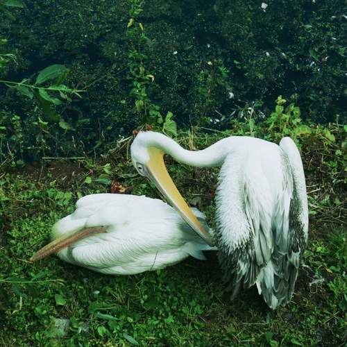 Photo #12189808