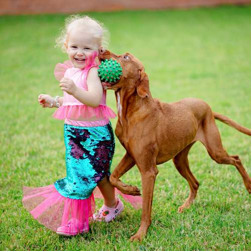 Photo #12189837